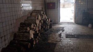 Работа машиниста-кочегара ||сутки работы за 12 минут