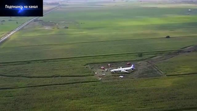 Аварийная посадка самолета в кукурузное поле в 2019 году.
