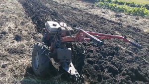 Вспашка с мотоблоком. 7 соток земли вспахал за сутки  с мотоблоком Агро.