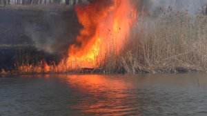 Рыбалка на карася весной, пожар на ставке. My fishing