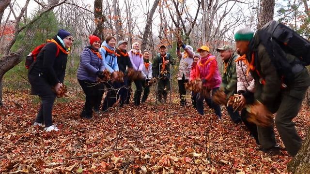 Уссурийская тайга Приморье Д.В. Лиановские в.с. Давыдов В.С. 21 октября 23 г. P.S. Продолжение ... смотреть онлайн