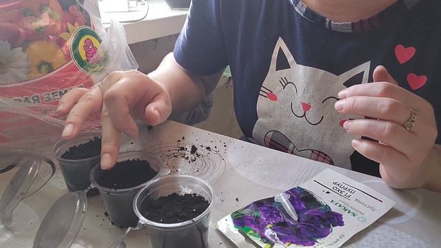 Эустома  сажаем рассаду первый опыт