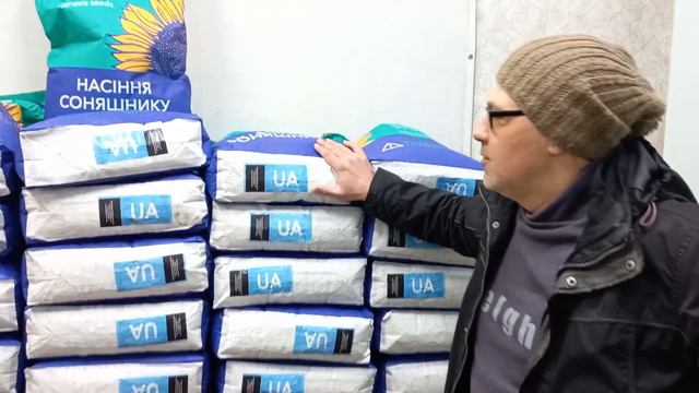 Подсолнечник под гранстар КОЗАК. Гибрид КОЗАК 56ц/га. Вырощен в Херсонской обл. Держит заразиху A-G смотреть онлайн