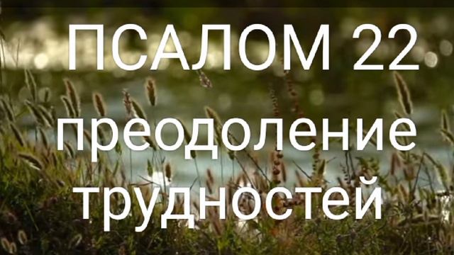 ☦️ПСАЛОМ 22, САМЫЙ СИЛЬНЫЙ .#молитва #молитваопомощи #господи #бог