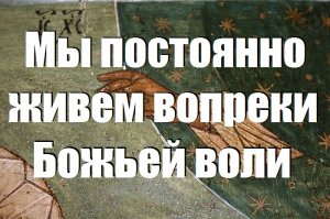 Мы постоянно живем вопреки Божьей воли/ Смысл Жизни