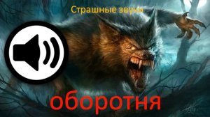 страшные звуки оборотня