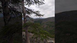 06.08.2023 г., п. Ягодное Магаданской области