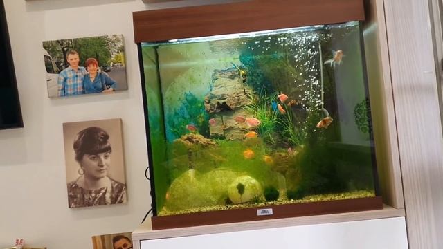 Мама узнала за отца Мое мнение смотреть онлайн