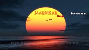 Stevie wonder  I Just Called To Say I Love You karaoke