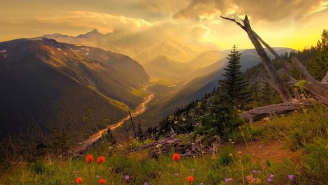 Gladiator OST - Elysium, Honor Him & Now We Are Free смотреть онлайн