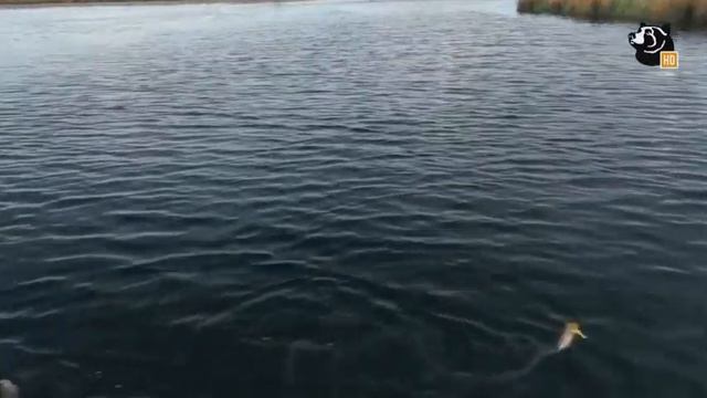 С удочкой по Грузии 2 (эпизод 9) смотреть онлайн