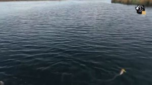 С удочкой по Грузии 2 (эпизод 9)