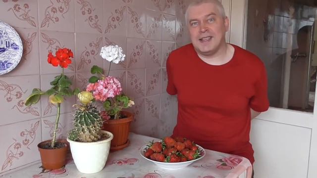 ГЕННАДИЙ ГОРИН МОЛЧИТ ПОЛТОРЫ МИНУТЫ смотреть онлайн