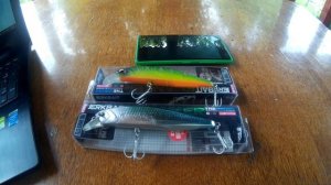 Воблер DUO Realis Jerkbait 100 . Воблер из Китая.