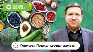 Лекция Д.Е. Губина - Гормоны 6: поджелудочная железа
