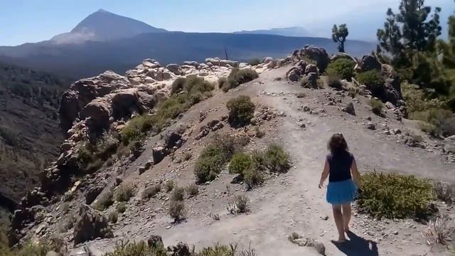 Жёлтые маки на Тенерифе. смотреть онлайн