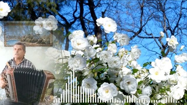 БЕЛЫЕ РОЗЫ. (на баяне) смотреть онлайн