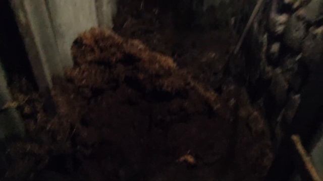 Брикет из соломы и мокрые опилки смотреть онлайн