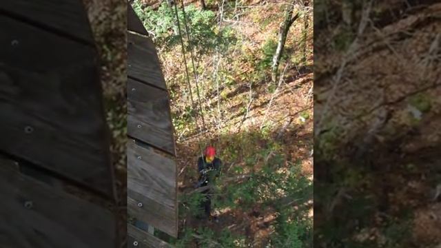 Rappeling at Bretton Woods