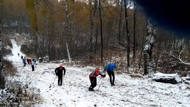 Лыжные имитации в подъем