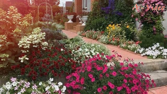 ?Как оформить сад Прекрасные примеры для воплощения / Ideas for the garden / A - Video смотреть онлайн