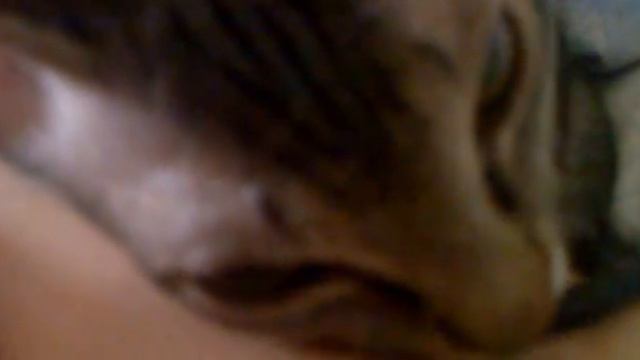 cфинкс прикол смотреть полностью!!! смотреть онлайн