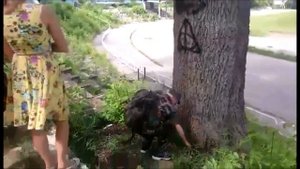 Уникальный ясень выявлен в Нижнем Новгороде