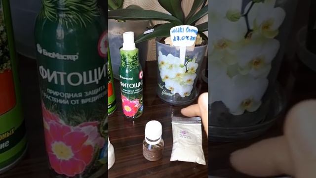 ВРЕДИТЕЛИ на орхидеях- НЕ ПРОБЛЕМА!?? Вертимек,  Мовенто энерджи и др
