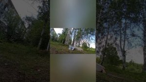 Тренировка на турнике между деревьями. Связки с егером с русских. Воркаут треня