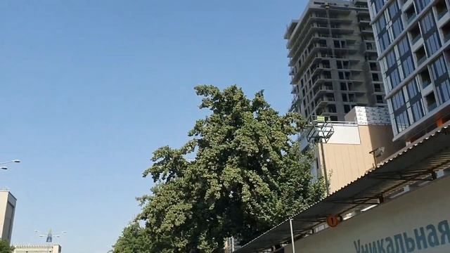 Uzbekistan Tashkent Красивые улицы города