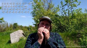 Кантри "Дом на ранчо \ Home On The Range" на губной гармошке С + табы