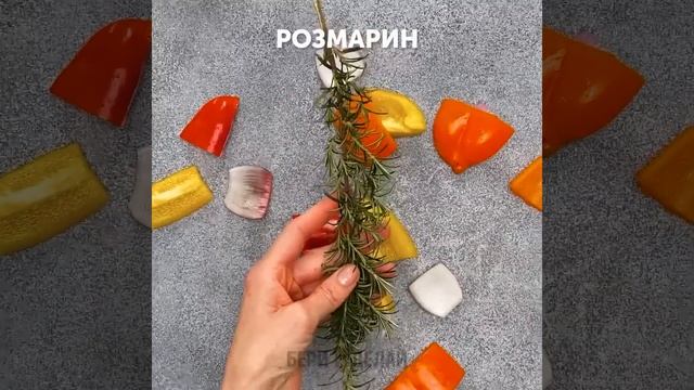 ЛУЧШИЕ РЕЦЕПТЫ ВКУСНЫХ БЛЮД НА ГРИЛЕ