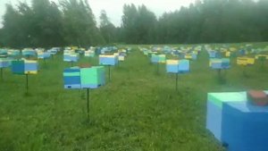 Нуклеусный парк пчеловодного сезона 2020 года