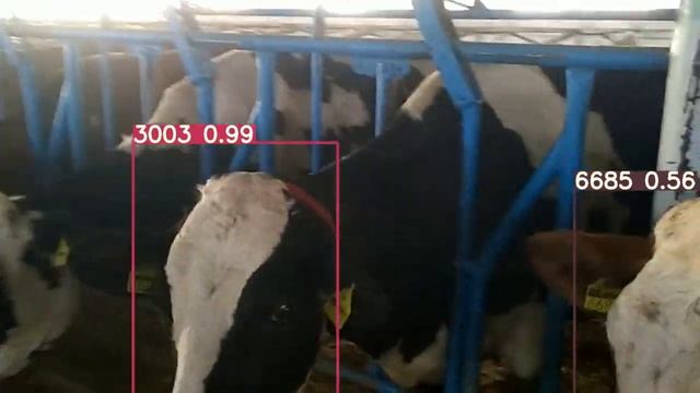 Identifying Livestock with YOLO V3 Object Detection using PyTorch смотреть онлайн