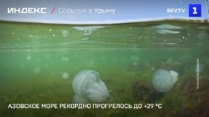 Азовское море рекордно прогрелось до +29 °С
