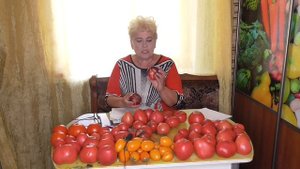 КАК ПОЛУЧИТЬ РАННИЙ УРОЖАЙ ТОМАТОВ. Ольга Чернова.