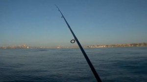 Ловля ставриды на самодур. Морская рыбалка в Одессе. Как ловить ставриду на самодур?