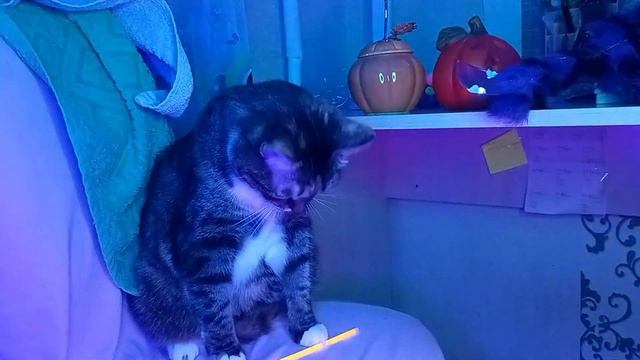 СТРАШНОЕ СУЩЕСТВО НАПАЛО НА МОИХ ХОЗЯЕВ|Страшная история смотреть онлайн