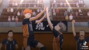 Хината Шоё Эдит // Аниме Волейбол