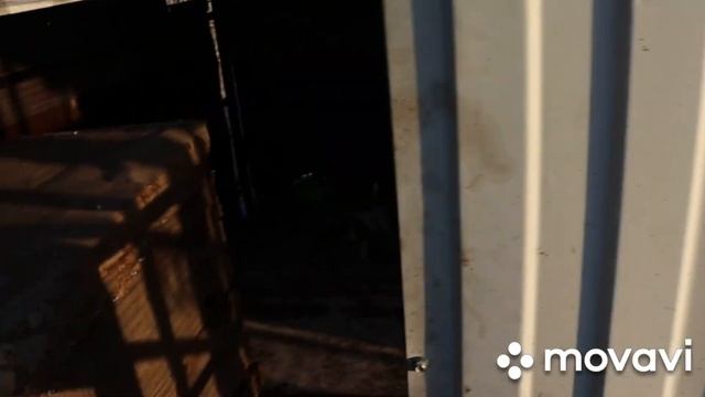 Вольер для собаки своими руками. Часть 3 смотреть онлайн