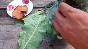 Супер рецепт: Малосольные огурчики на сухарях