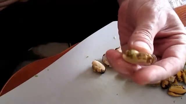 салат из мидии смотреть онлайн