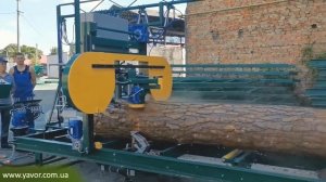 Электронная линейка на пилораму Micron-6