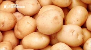 ВРЕД И ПОЛЬЗА КАРТОФЕЛЯ. Картофель фри. Сухое картофельное пюре