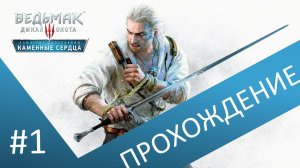 Ведьмак школы знаков . Прохождение Ведьмак 3 / The witcher 3 . Часть 1