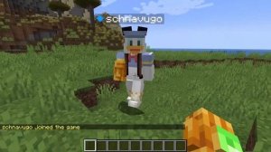 Invite Friends to your Singleplayer World in Minecraft (Essential Mod)