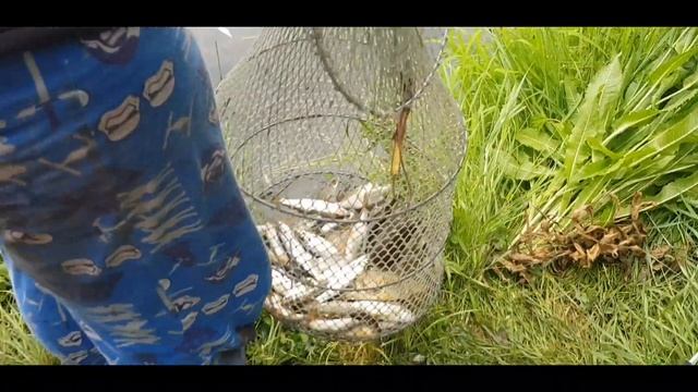 КАК ПЕРЕПРАВИТЬ ТРИ ТОННЫ ДОСОК НА ОДНОМ КУБЕ ПЕНОПЛАСТА ПО ВОДЕ (часть 11) смотреть онлайн