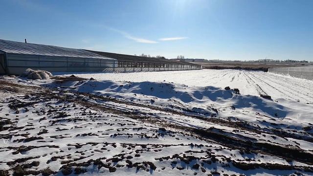 рассада огурцов и помидор 10.03.2021 смотреть онлайн