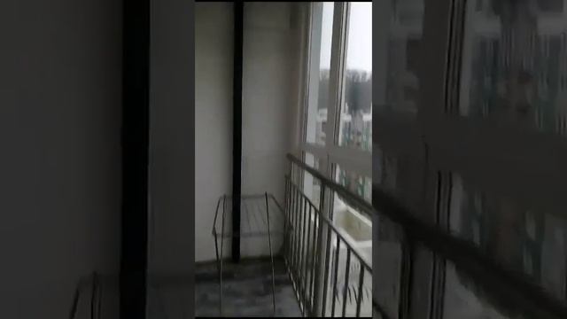 ЖК Флора видовая студия под ключ на 12 вип-этаже в Кудепсте