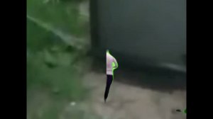 Меллстрой от радости большого выигрыша разбил телевизор.